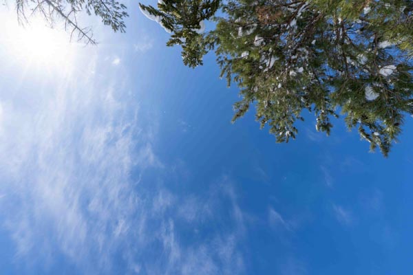 空を見上げると素晴らしい青空！